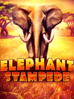 Elephant Stampede by Ruby Play