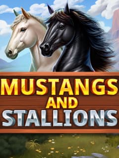 Mustangs and Stallions by Booming