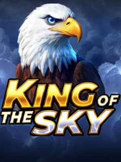 King of the Sky: Hit the Bonus™ by Playson