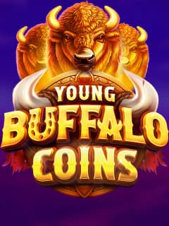 Young Buffalo Coins by Evoplay